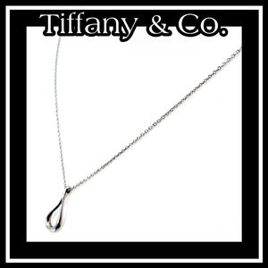 Tiffany & Co. Drop Pendant Necklace